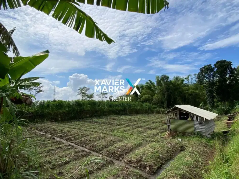 Dijual Tanah Termurah Cocok Siap Bangun di Tirto Landungsari Malang