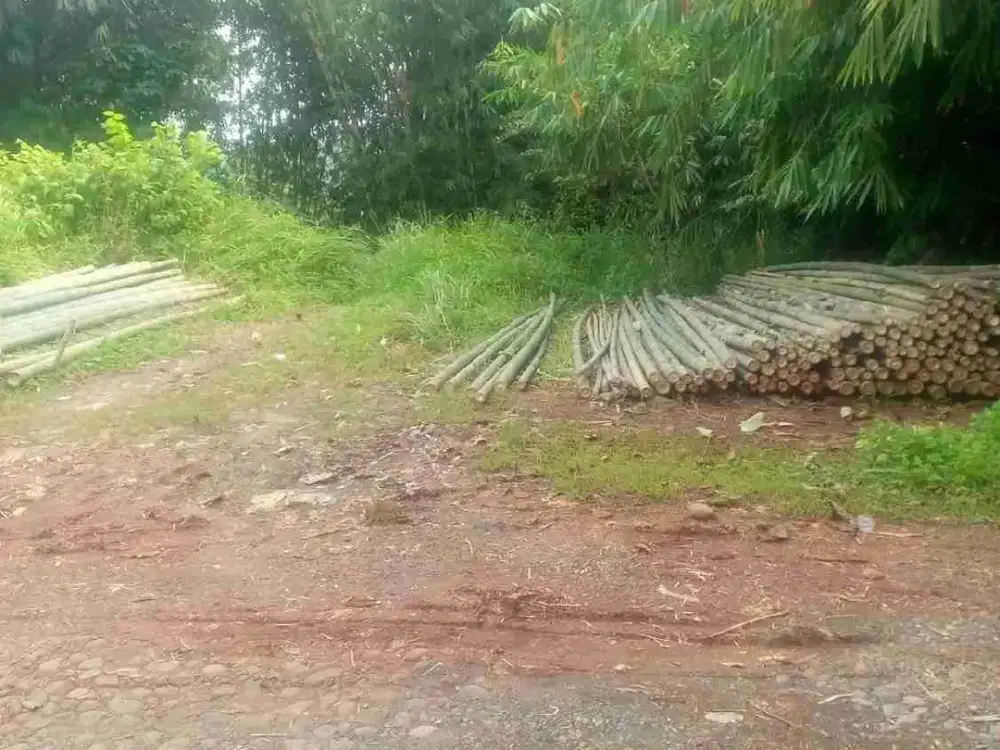 jual tanah di Rumpin