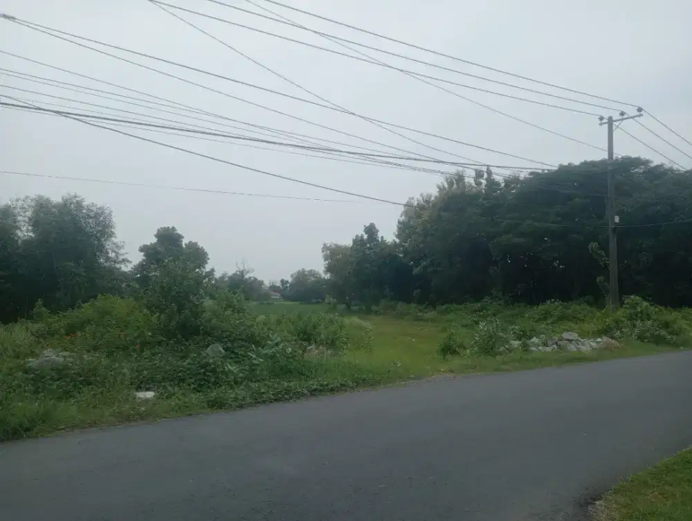 DI JUAL TANAH DAERAH LABANG DEKAT SURAMADU