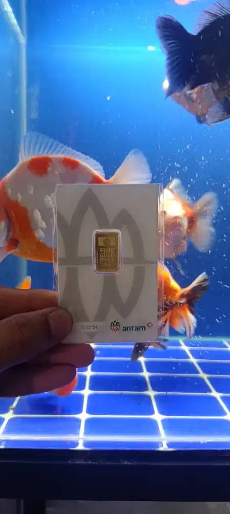 Antam 3gr tahun 2026