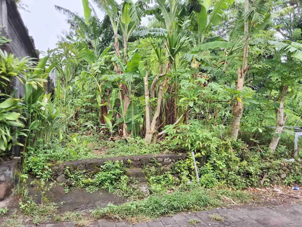 TANAH 1.240m² DI KAWASAN KOMPLEK BALI KENCANA UNGASAN KUTA SELATAN