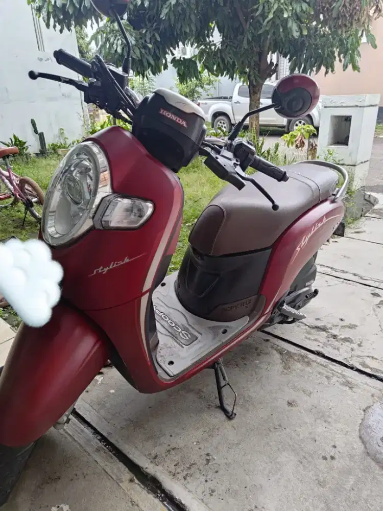 Scoopy Stylish 2020