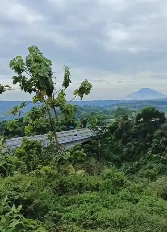 Jual Tanah Banyumanik, Tembalang, Dekat UNDIP Tembalang (5-10 Menit)