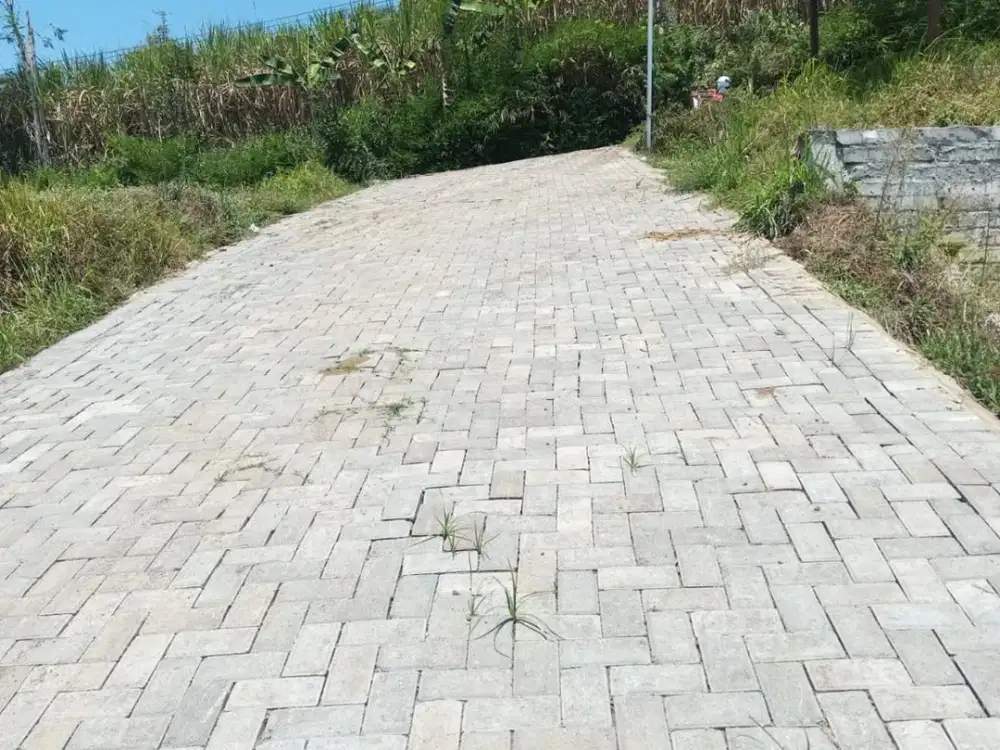 Tanah dijual di sumbersuko wagir Lt72 SHM hanya 45jt dekat sekolah perkampungan