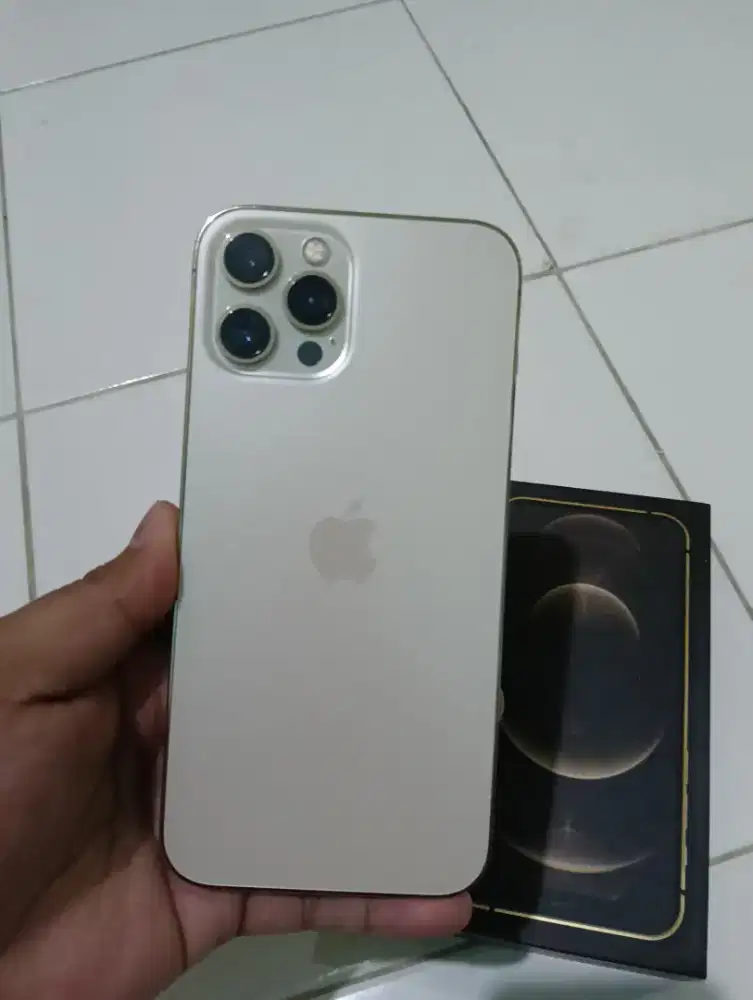 Iphone 12 pro max 512gb all op fullset