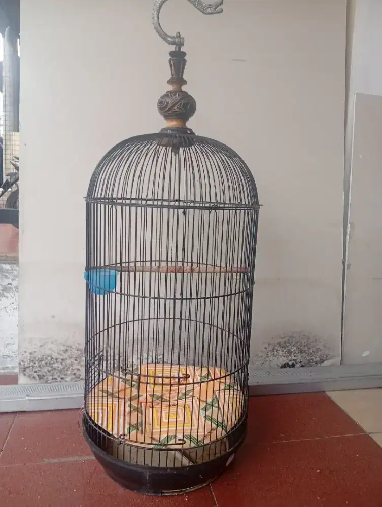 Kandang kapsul lb dan petak no. 3