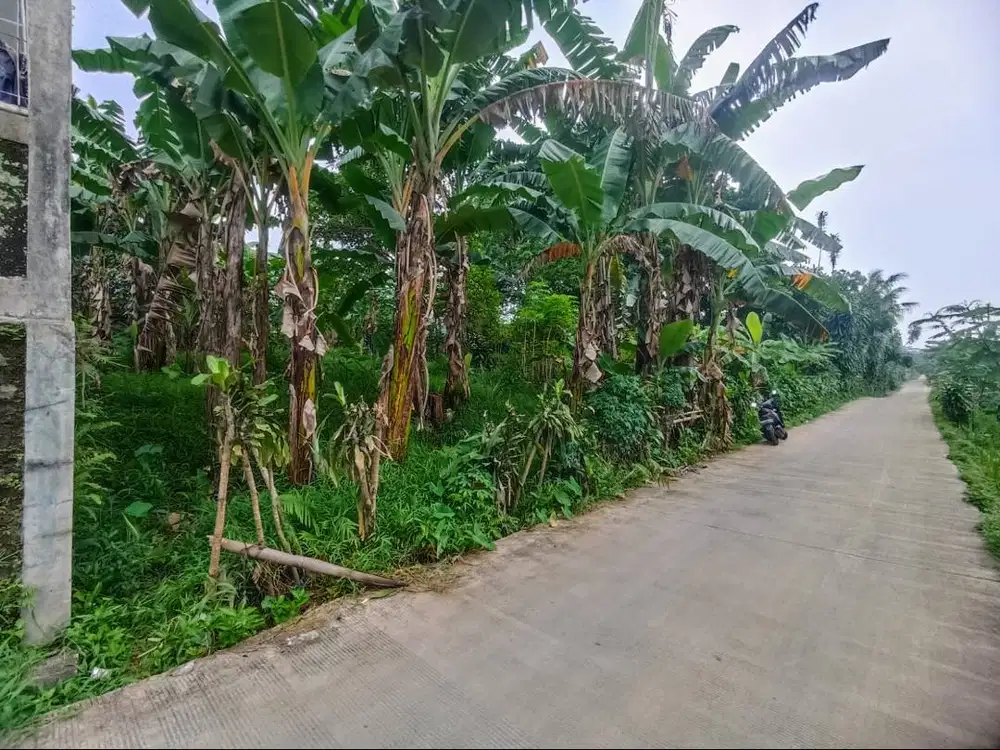 Dijual Cepat Tanah Kavling di Cimandala