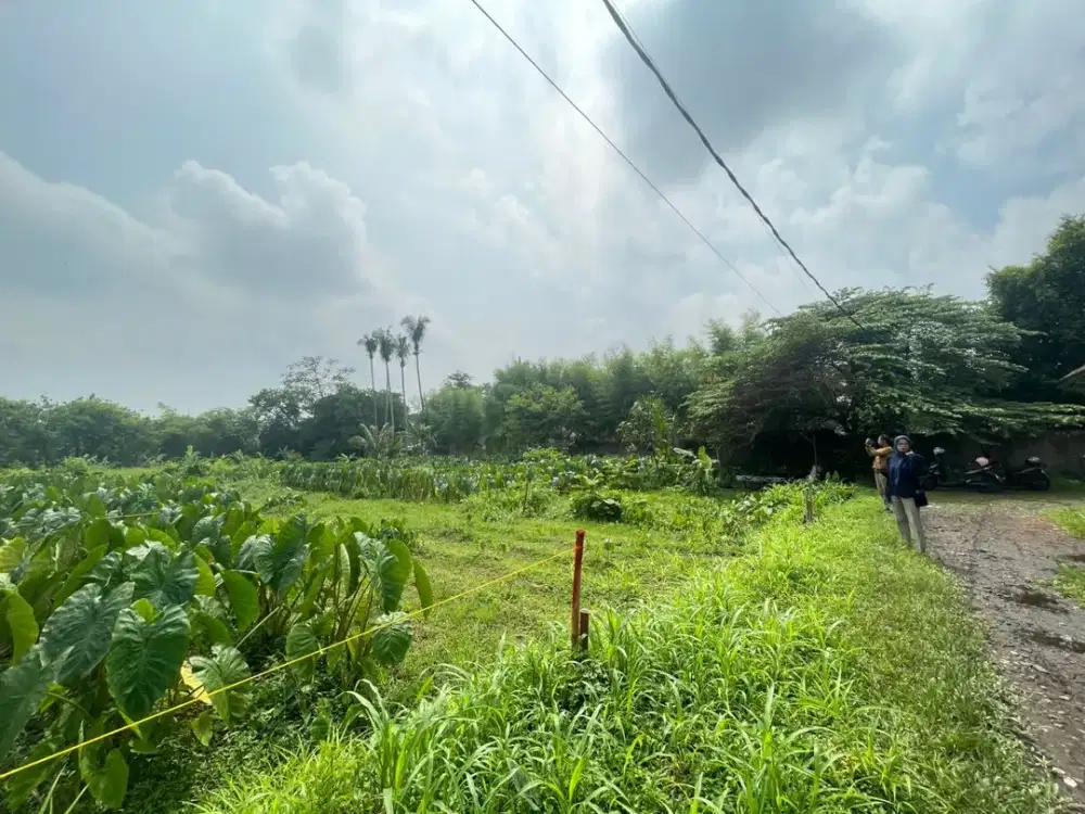 Dekat IPB Dramaga, Kapling Special Bonus TV