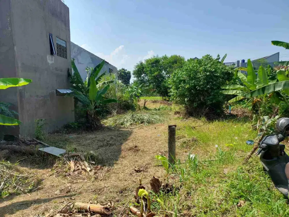 Disewakan Tanah Kosong Dekat Perum Mutiara Bogor Raya Kota Bogor