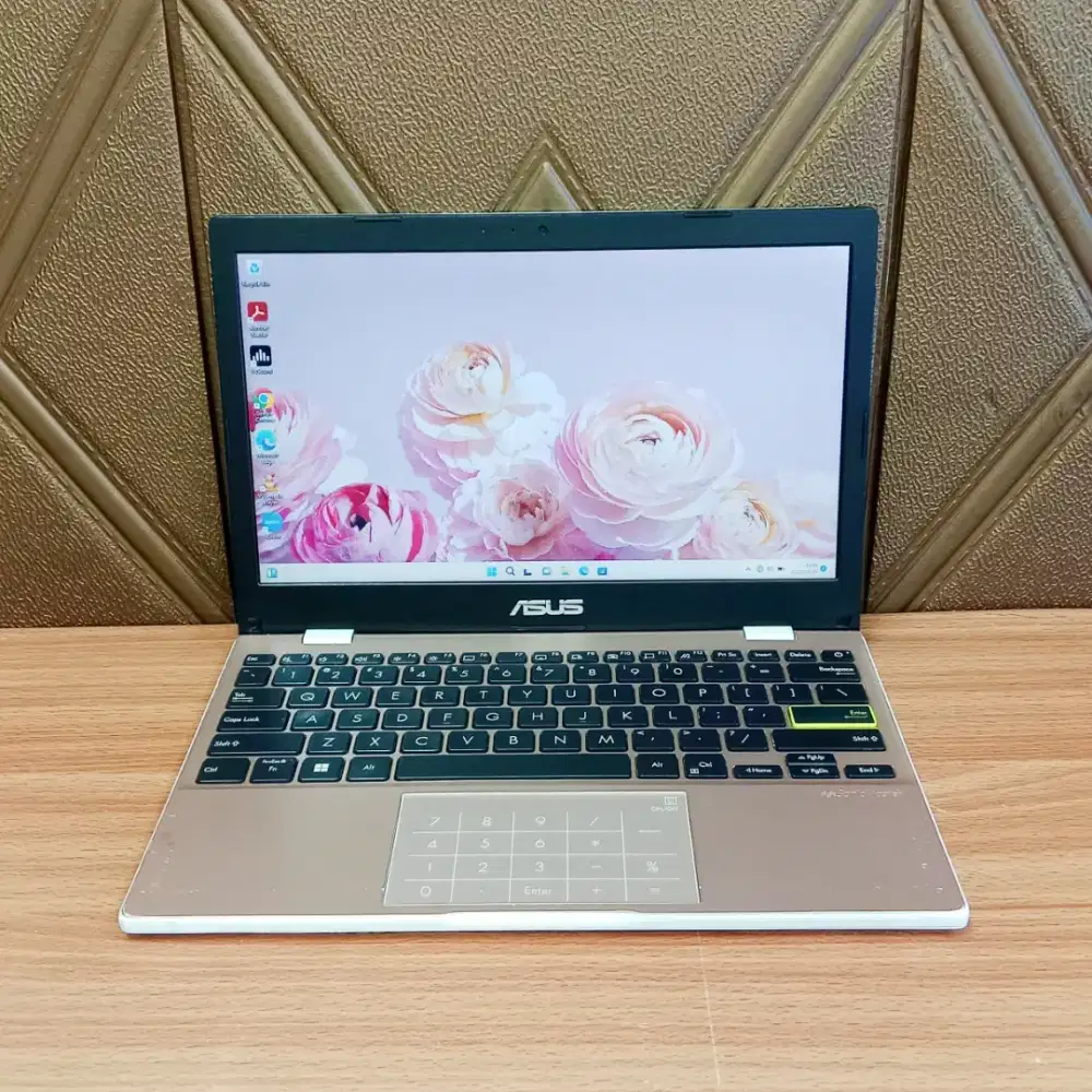 ASUS E210MAO INTEL N4020 INTEL UHD GRAPHICS 600 RAM 4GB DDR4 SSD 256GB