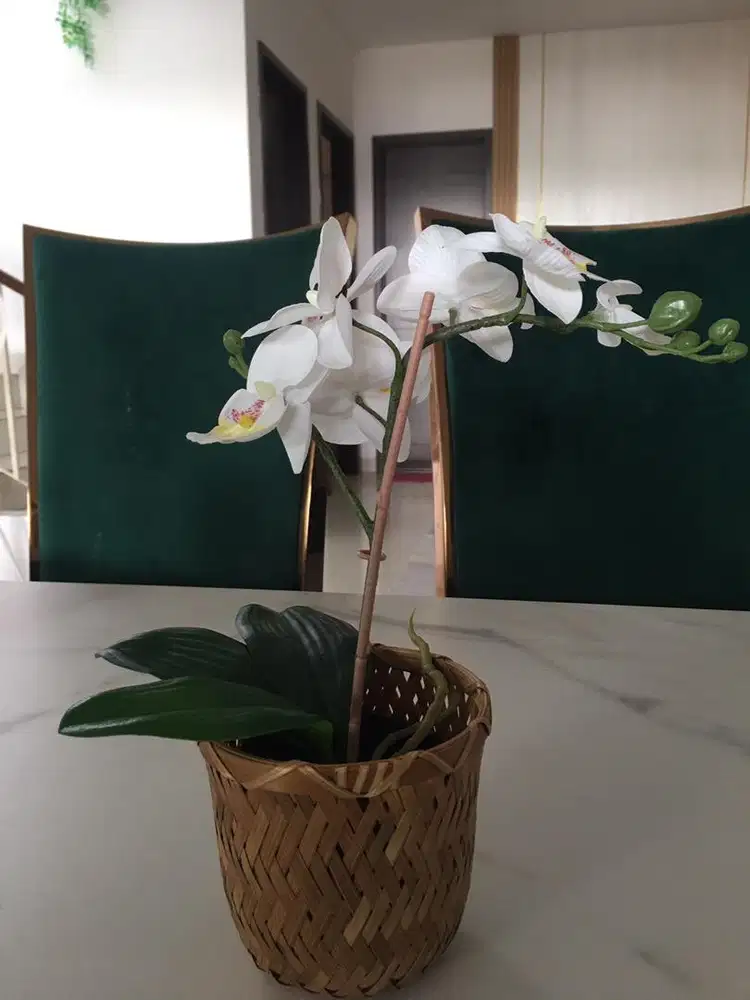 Lowongan ART SERABUTAN di rumah saya daerah cakung