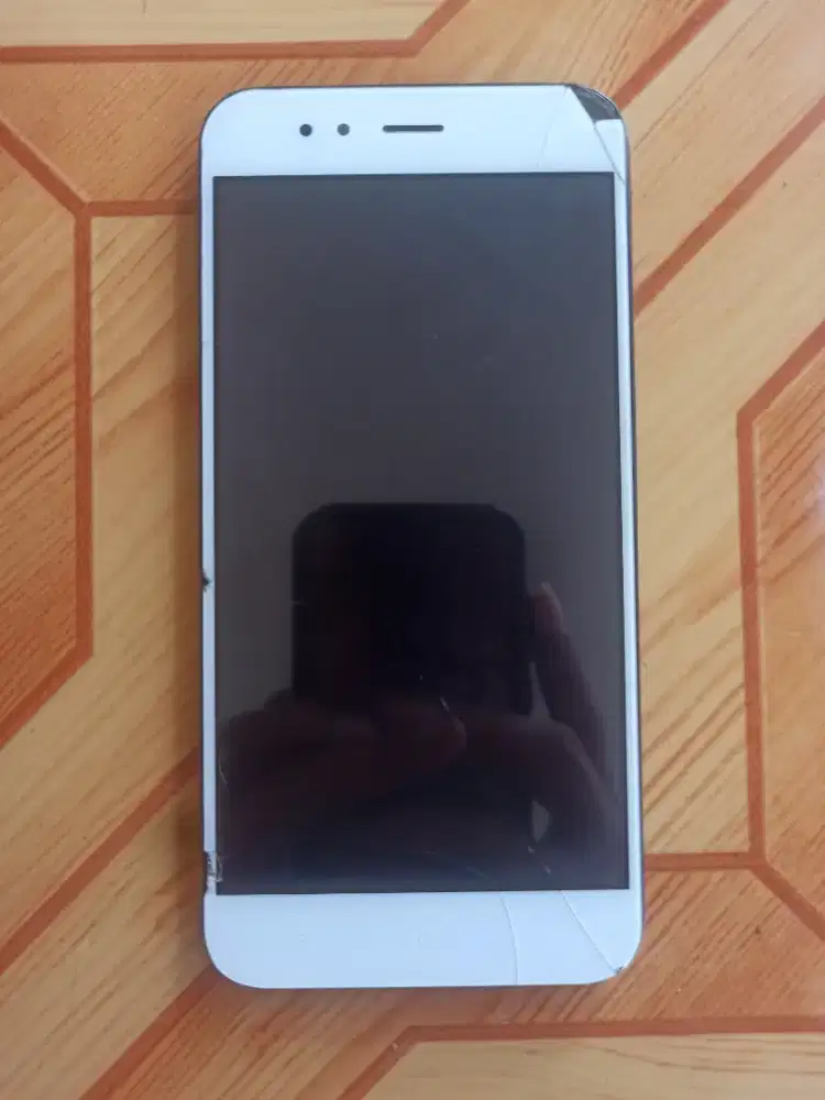 Xiaomi Mi A1 Apa Adanya