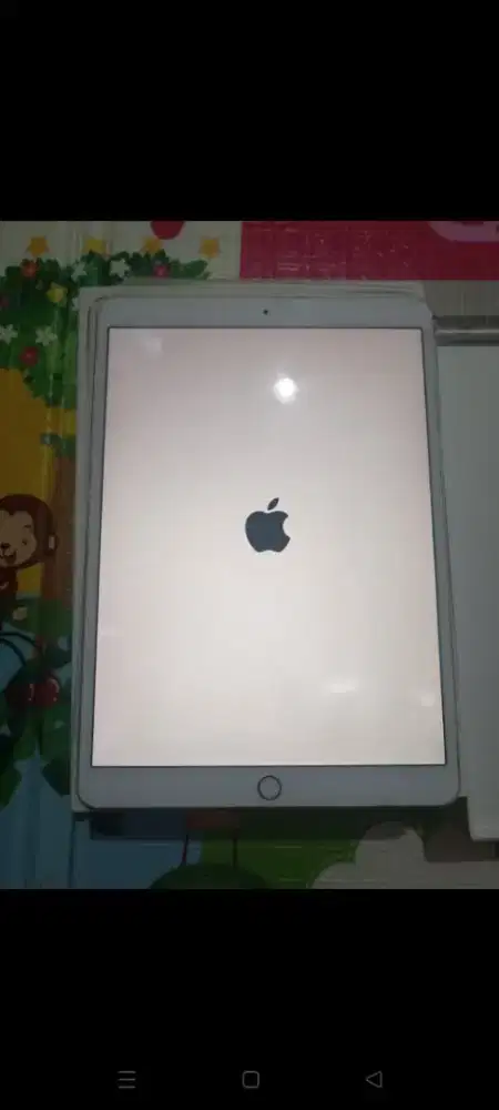 iPad pro 10.5 memori 64 GB