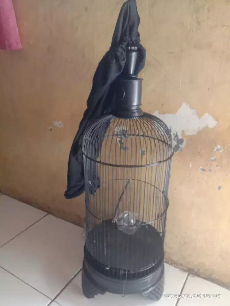 Kandang burung kecil