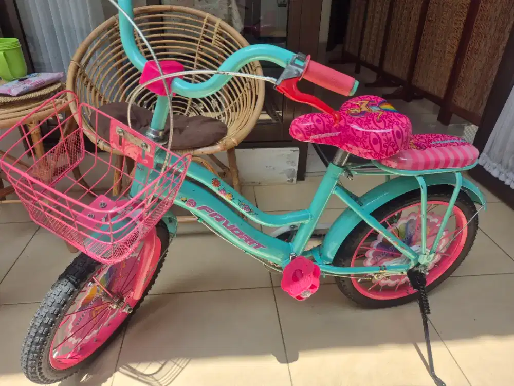 MINI 16 PACIFIC FAVORIT