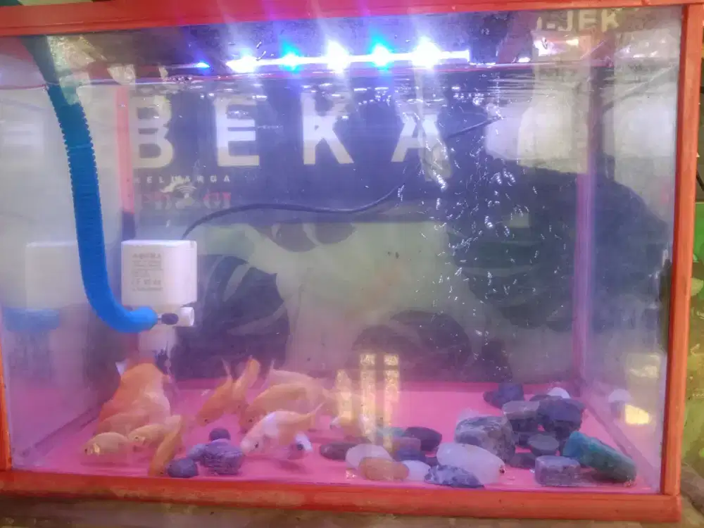Aquarium ukuran T, P, L. 30x40x25