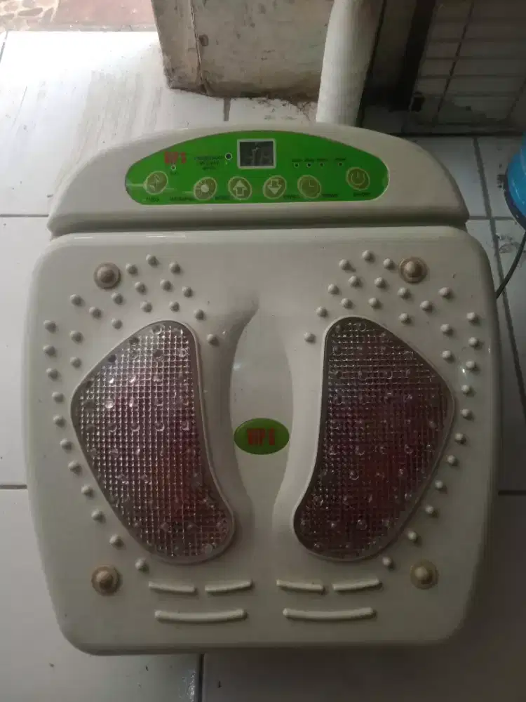 Blood circulation device