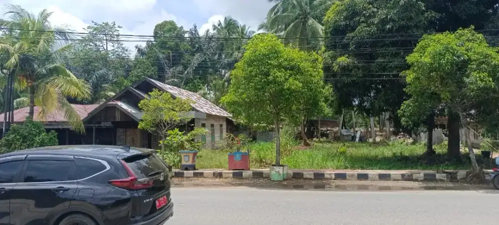 Dijual tanah dikandangan hss kal sel