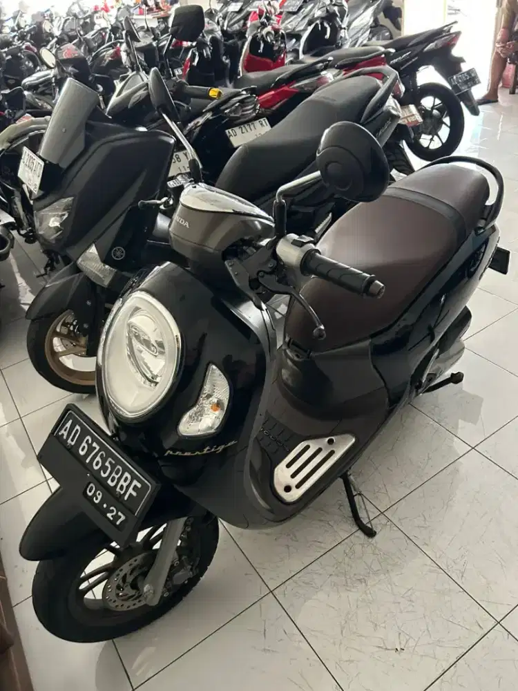 Alln Scoopy Plat AD