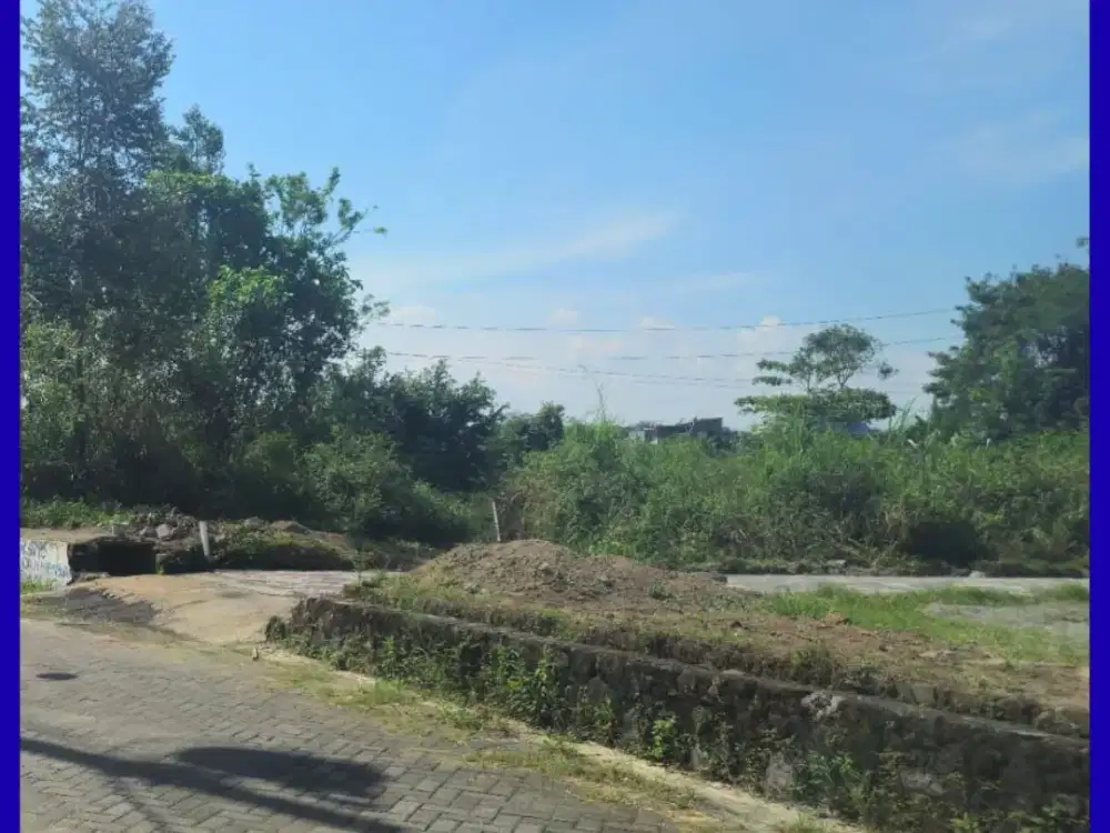 Tanah Maguwoharjo Tajem Jogja SHM Pekarangan 500 Jutaan