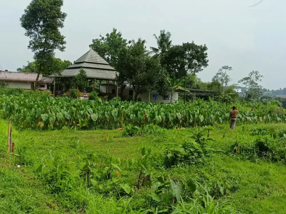 Dekat IPB Dramaga, Kapling Special Bonus Mesin Cuci