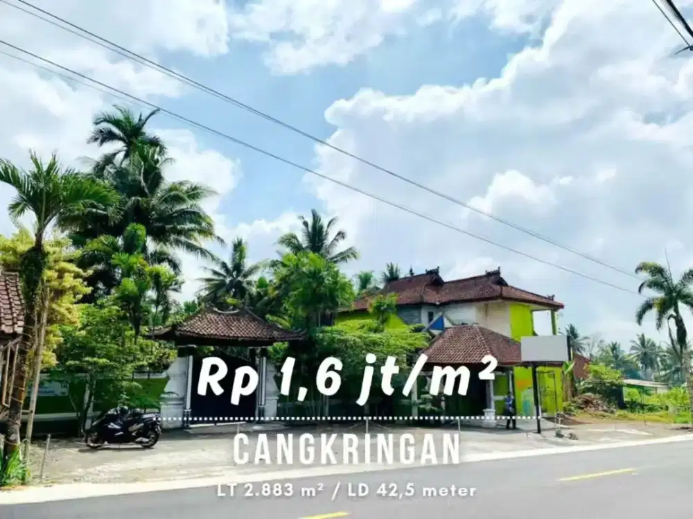 Dijual Tanah Sawah Bonus Bangunan Bekas Resto di Cangkringan