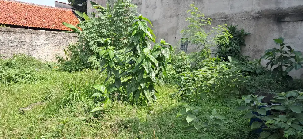 Jual tanah strategis dekat tol andara bebas banjir