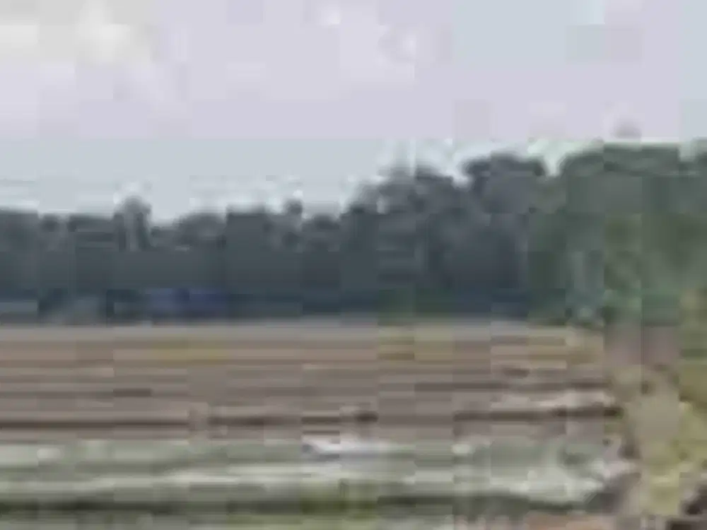 Dijual murah Via lelang Tanah Di Tuban Jawa Timur