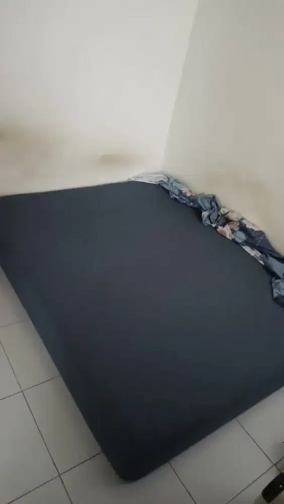 Kasur domi 160x200x20