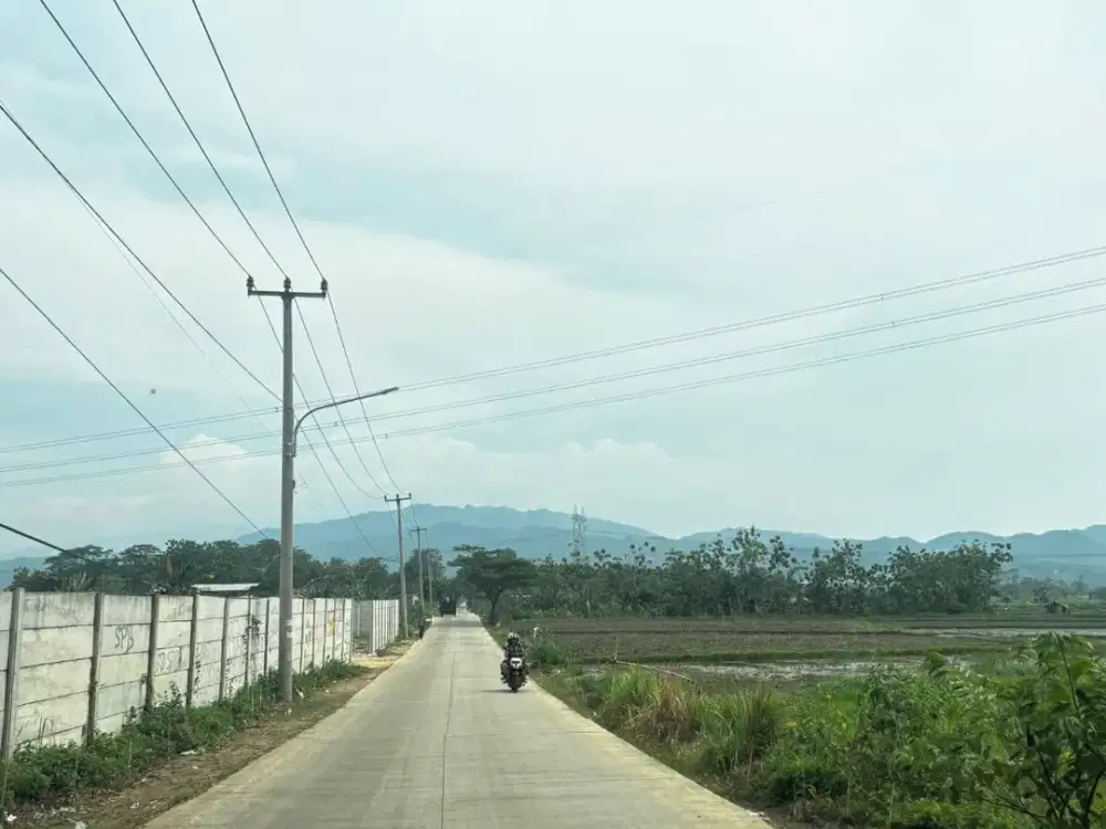Lahan Luas 14 Ha Tanah Datar, Zona Kuning Di Klapanunggal Bogor