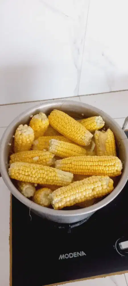 Jagung manis gunung haruman