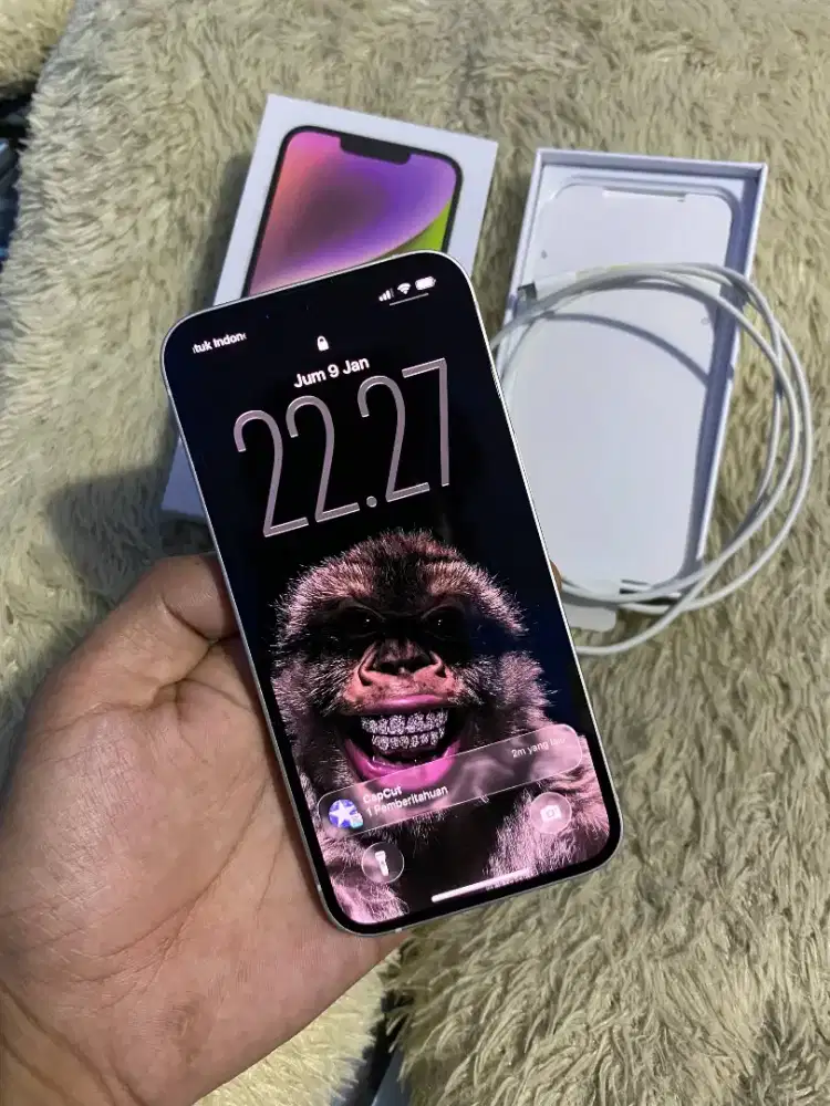 IPHONE 14 128 GB IBOX