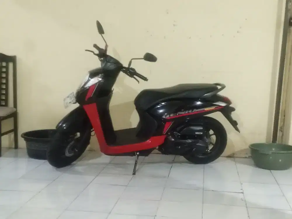 Honda Genio th 2024/2025