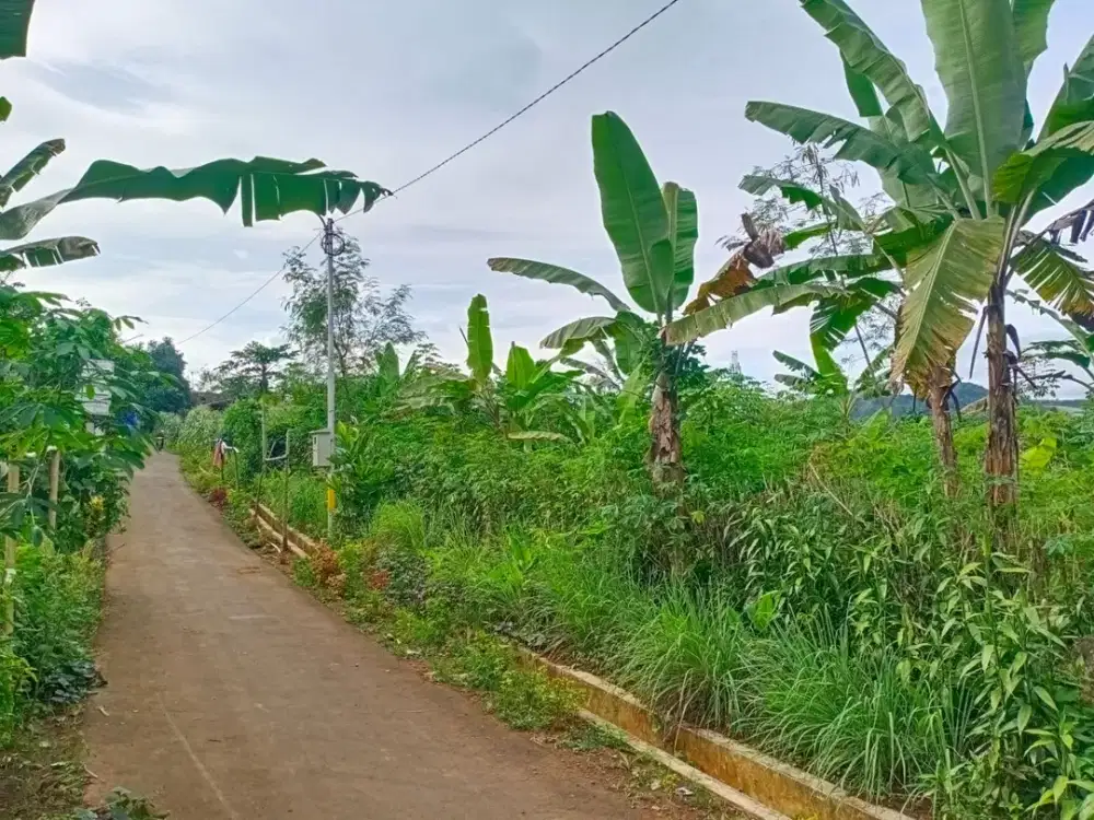 DIJUAL / DIKERJASAMAKAN LOKASI LUAS 6000 M2