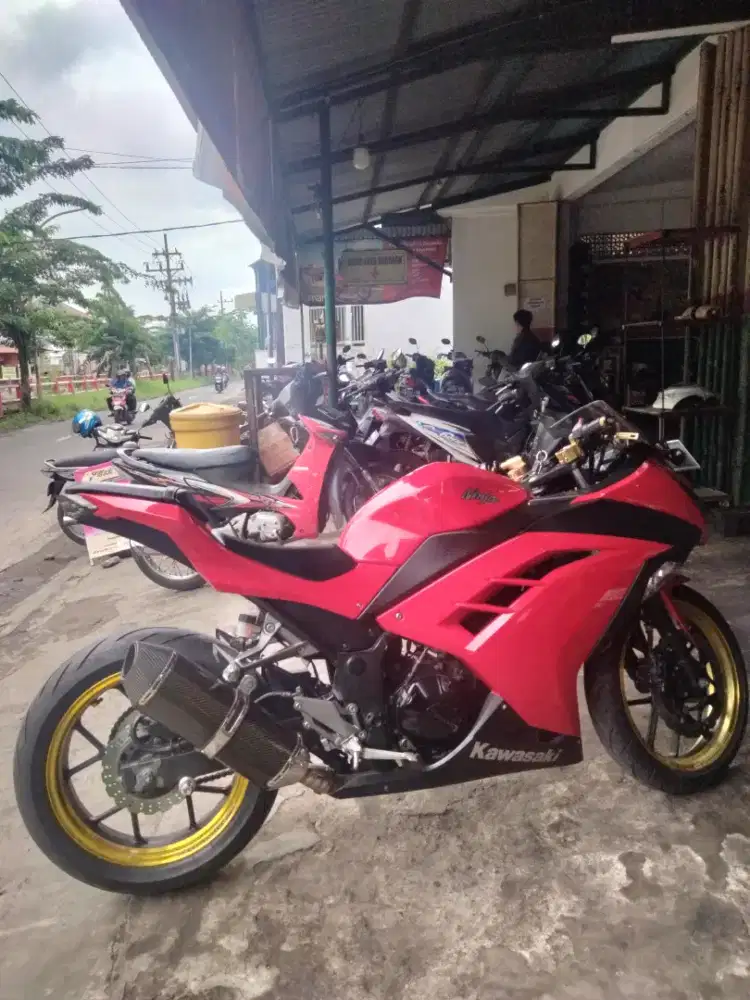 Dijual Ninja istimewa