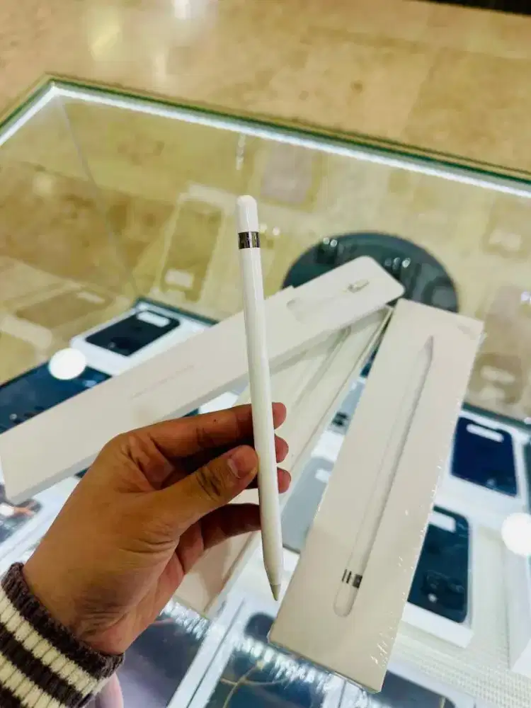 Apple Pencil Gen 1 + USB C Converter original