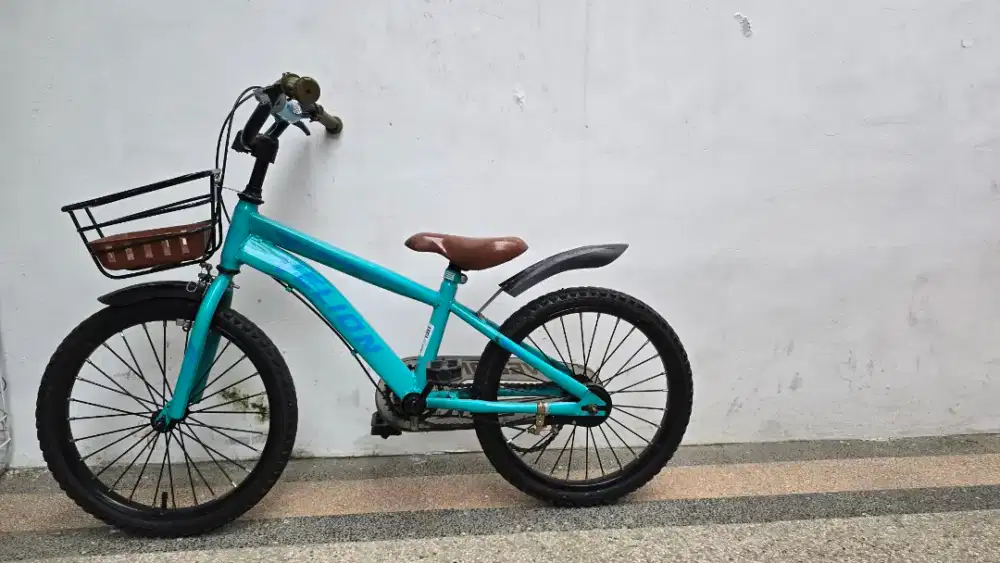 Sepeda bekas anak uk 16