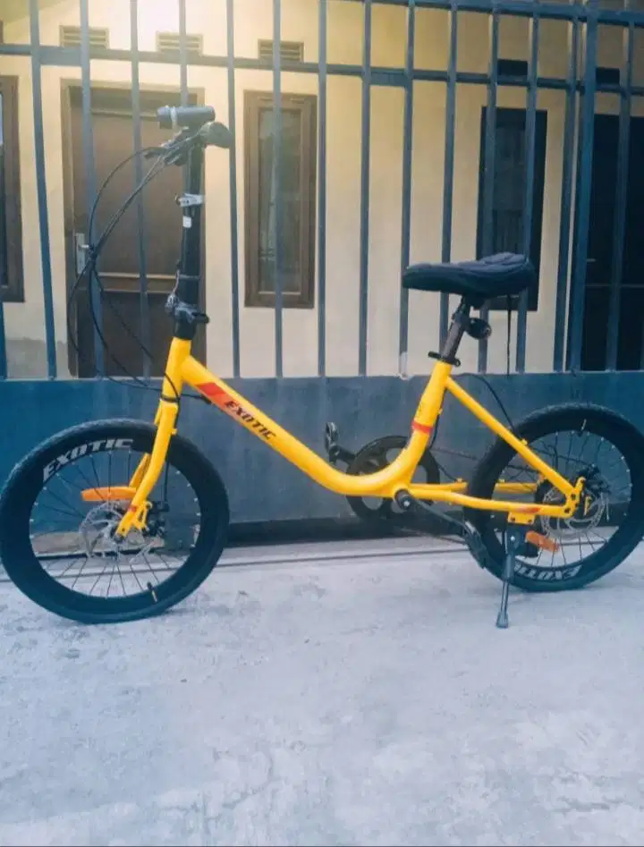 Sepeda Minion Exotic DX