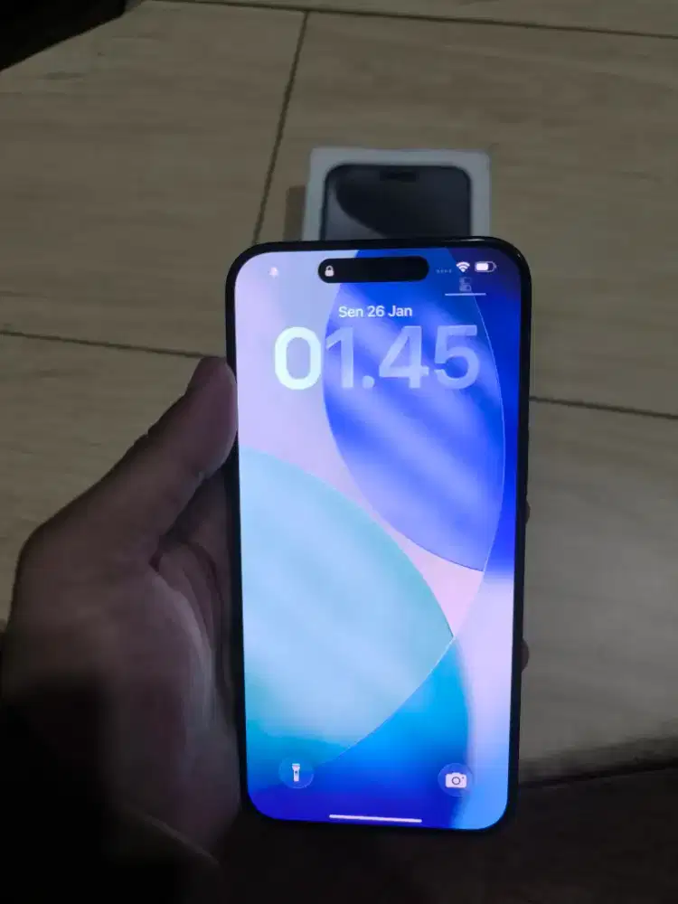 Ip 15 PM 256 GB Inter Singapura