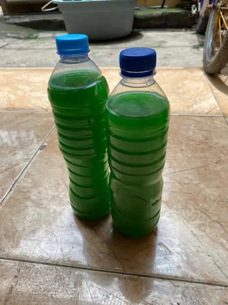 Sabun cuci piring murah