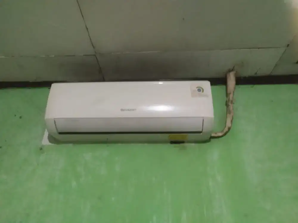 AC Sharp 1 pk normal