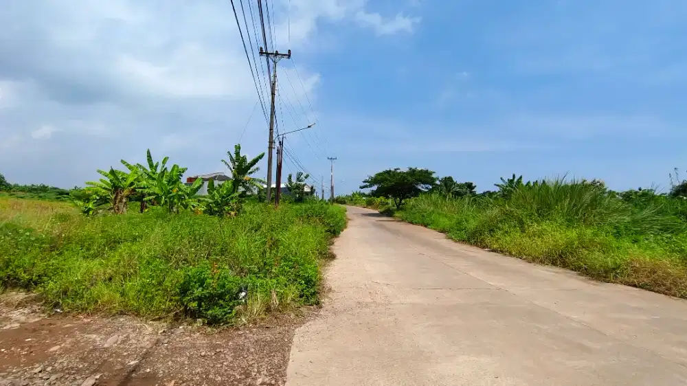 Dijual Tanah harga murah pinggir jalan raya di Ngaliyan Semarang