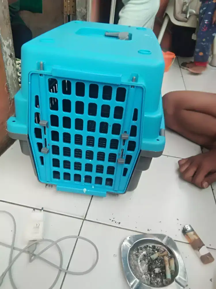 Petcargo ukuran bisa buat anjing