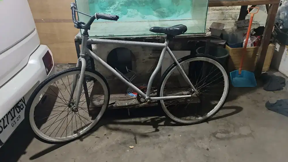 Sepeda fixie dewasa mines rante karat