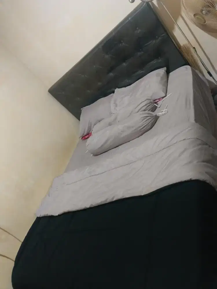 Kasur+Divan Set Queen Size 160 x 200 T26cm Serenity Eternity Plushtop