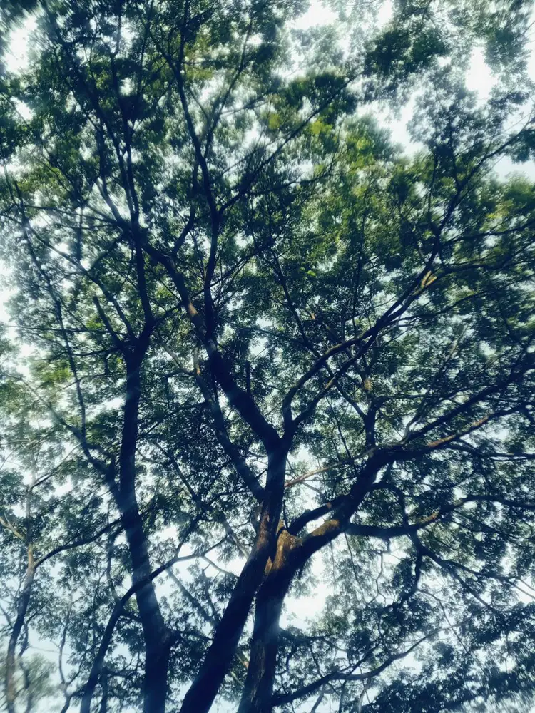 Jasa jaga lansia Pulang Pergi