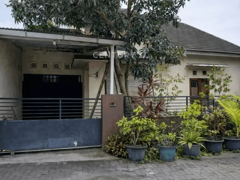 Rumah Di Berbah Dengan Lantai Granit Dan View Sawah