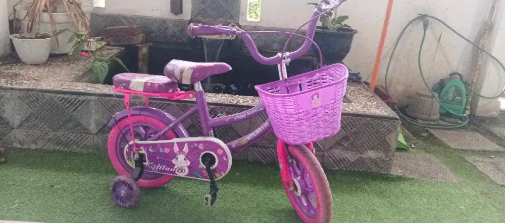 (ISTW) Sepeda Anak Roda 4 Nego Tipis