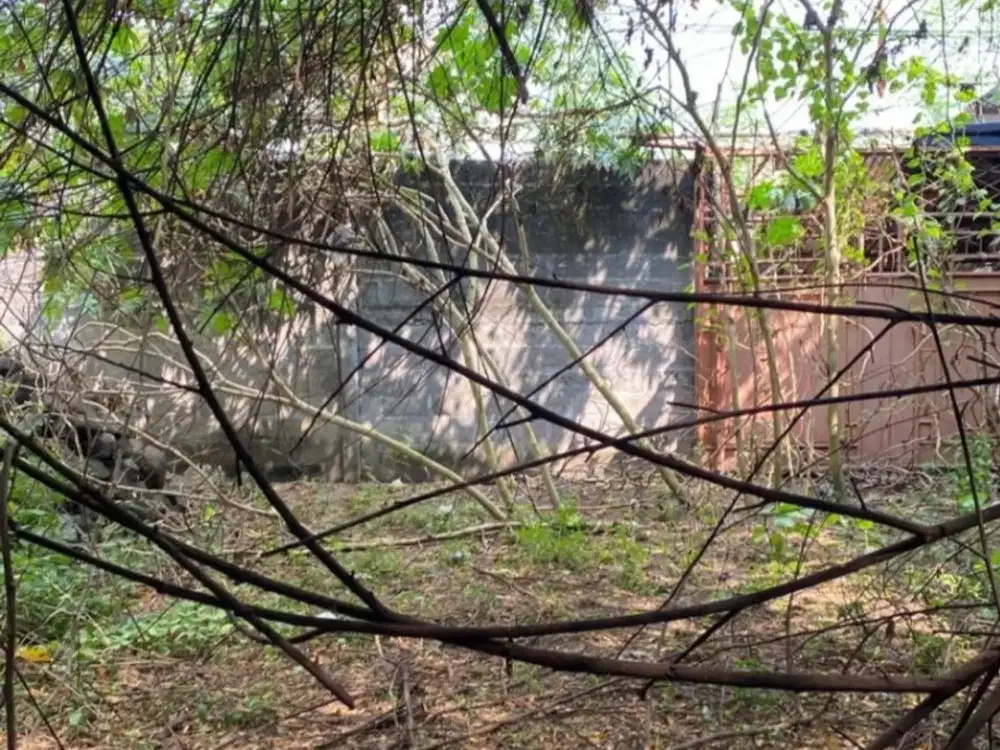 Tanah Pekarangan Di Sewon 300m Dari Perempatan Dongkelan