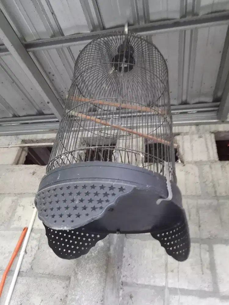 Sangkar burung bulat